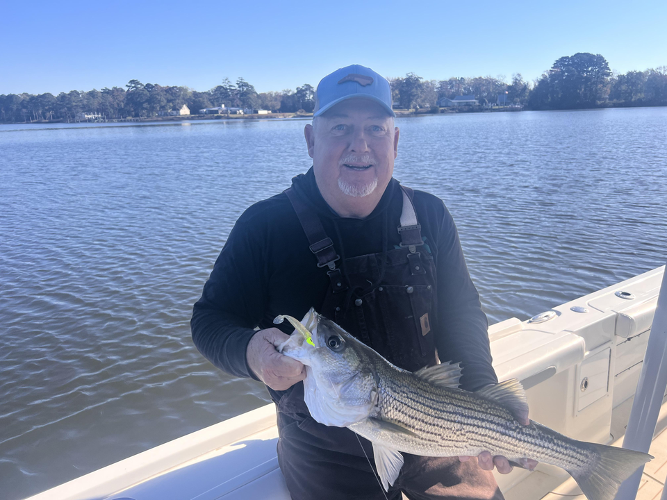 Nice striped bass on light tackle in Oriental NC! Clear conditions made for an exciting adventure.