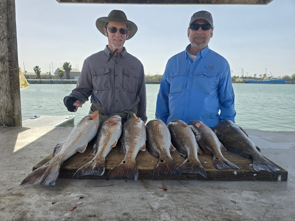 A bountiful catch on the docks.