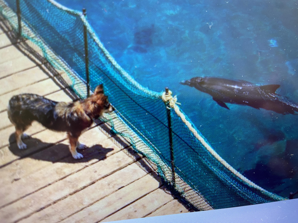 Successful fishing day in West Palm Beach waters!