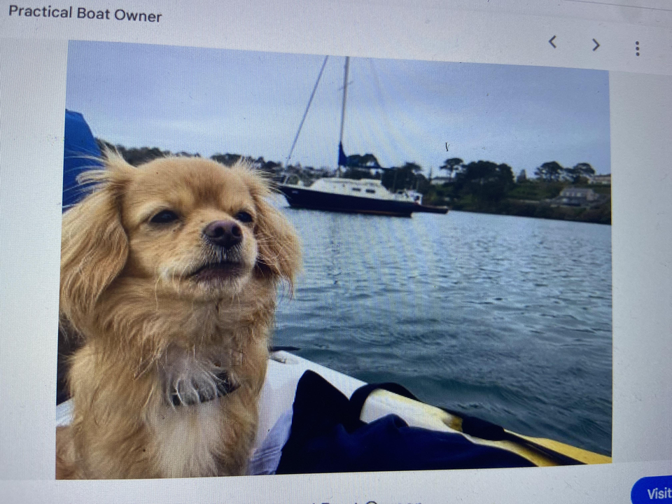 Fishing buddy ready for adventure in West Palm Beach!