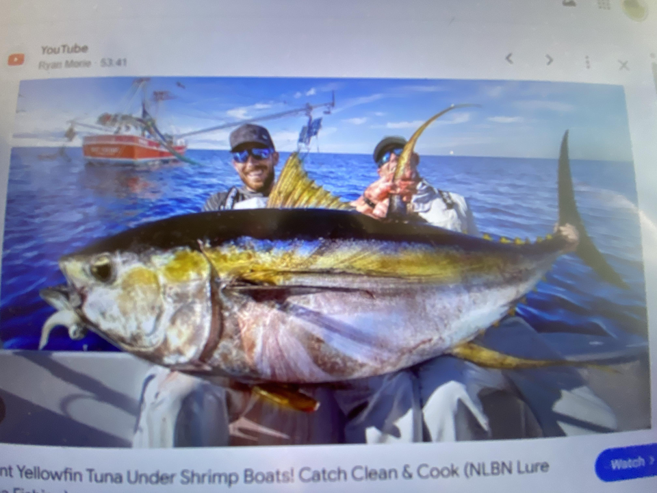 Beautiful West Palm Beach yellowfin tuna on deck!