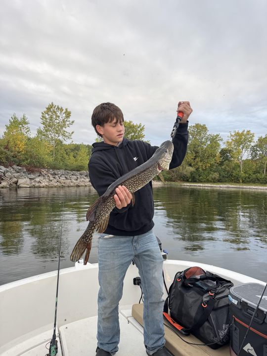 Nice Northern Pike from Lake Champlain! Great day on the water with multiple techniques paying off.