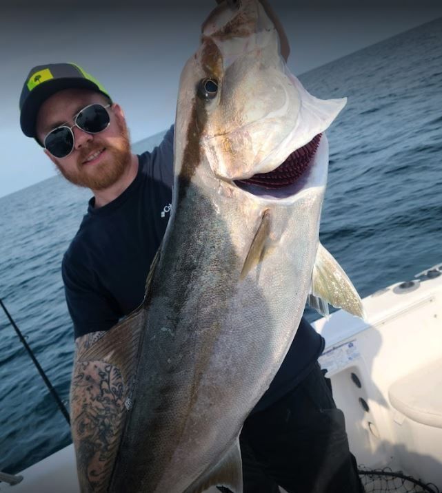 Hardhead Sea Catfish, 23 inches, fishing at unknown location