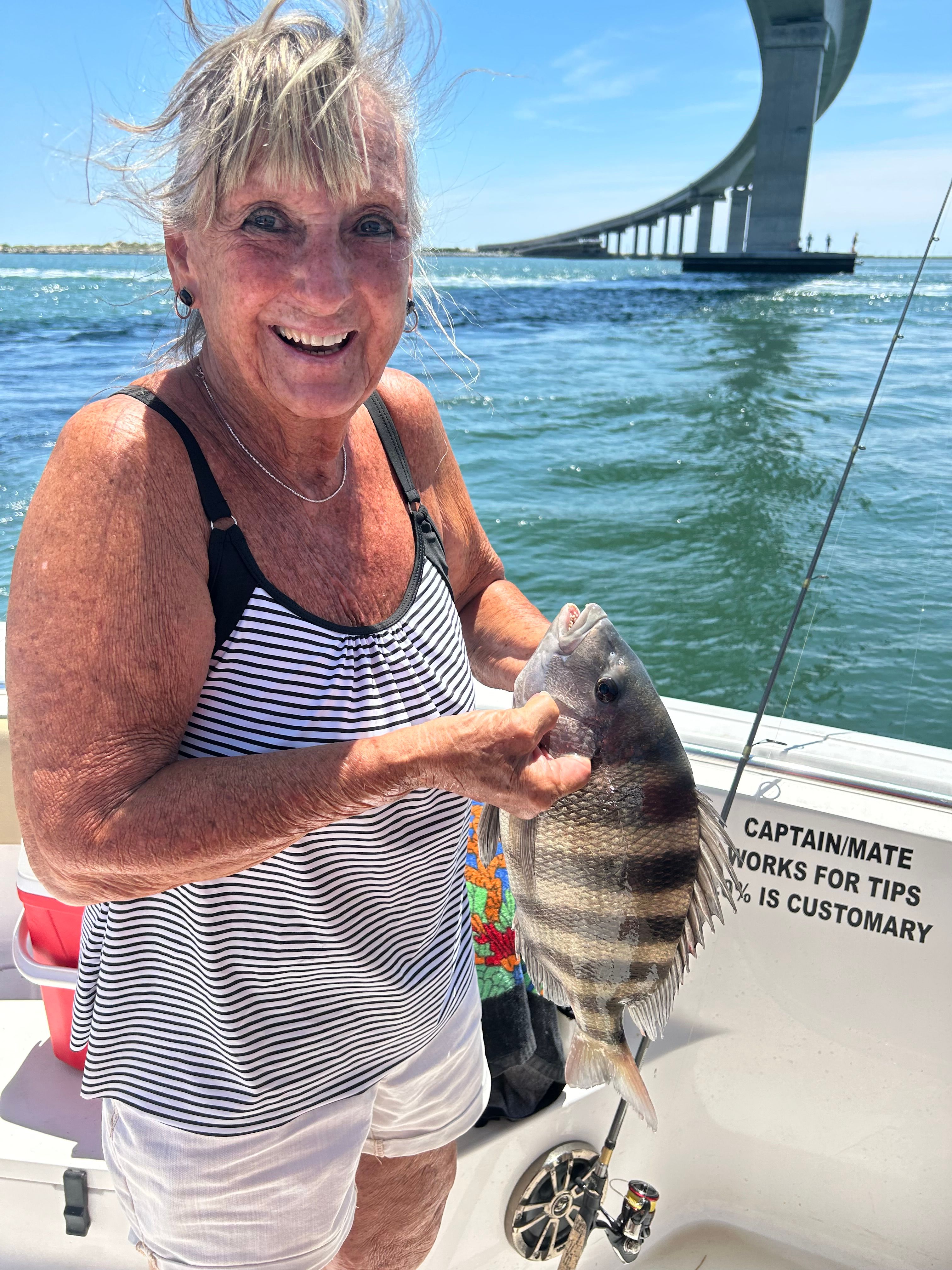 Sheepshead fish caught fishing