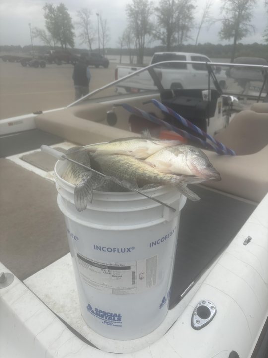 Just another day by the lake with a fresh catch.