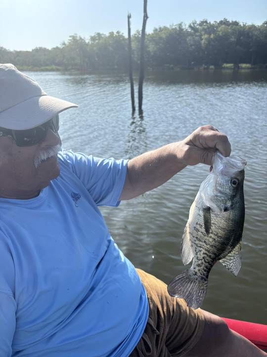 Reeling in a huge white crappie on a clear day at Spencer Creek!