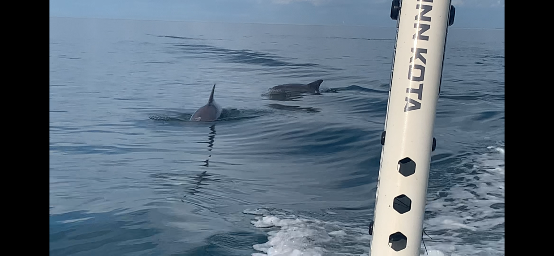 Fishing at an unknown location