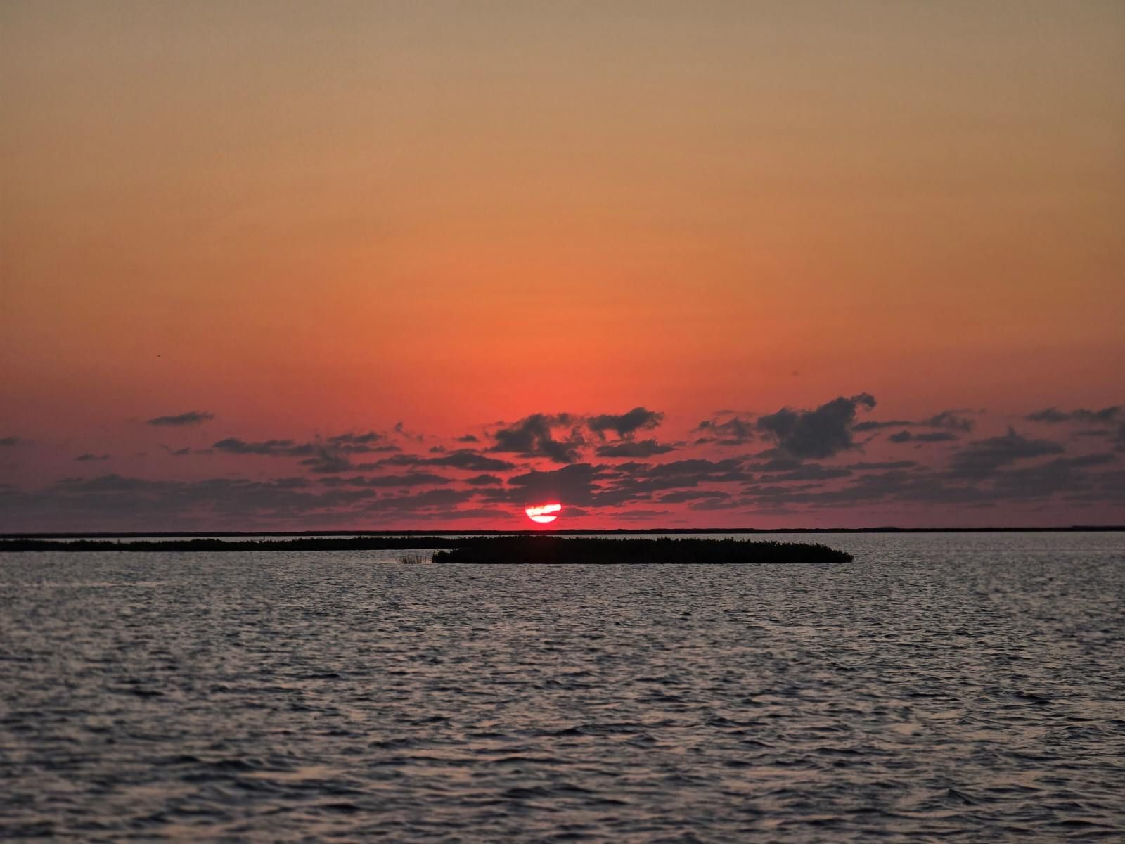 Great fishing at unknown location