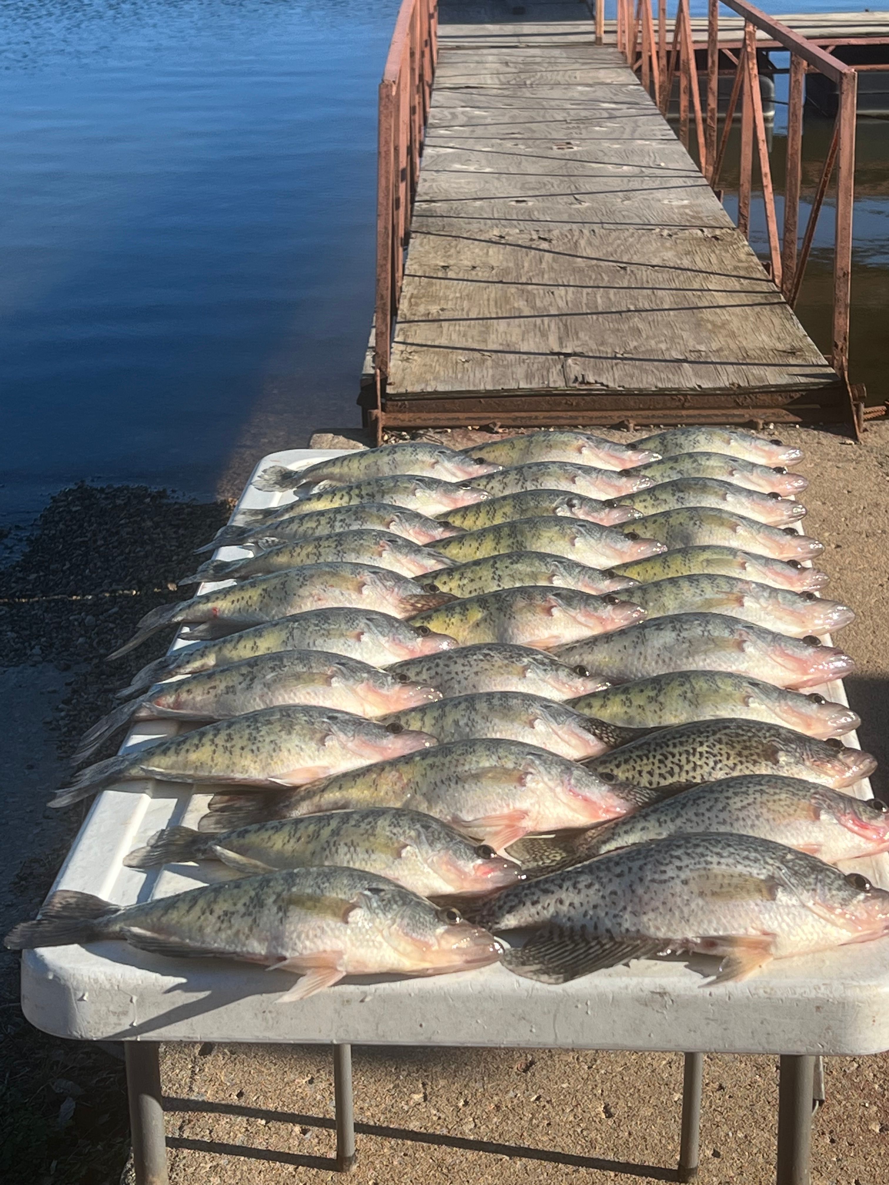 Fishing trip at unknown location with 3 fish caught