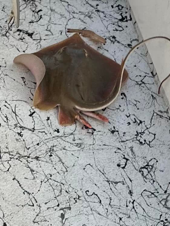 Fishing in unknown location