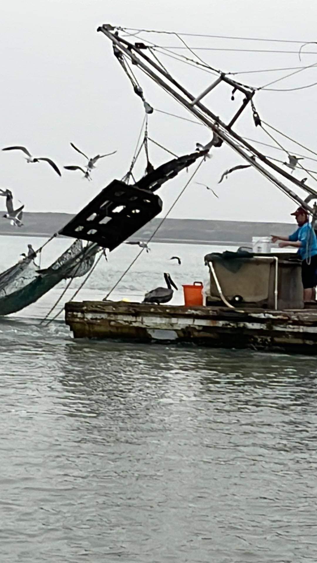 A person fishing in an unspecified location