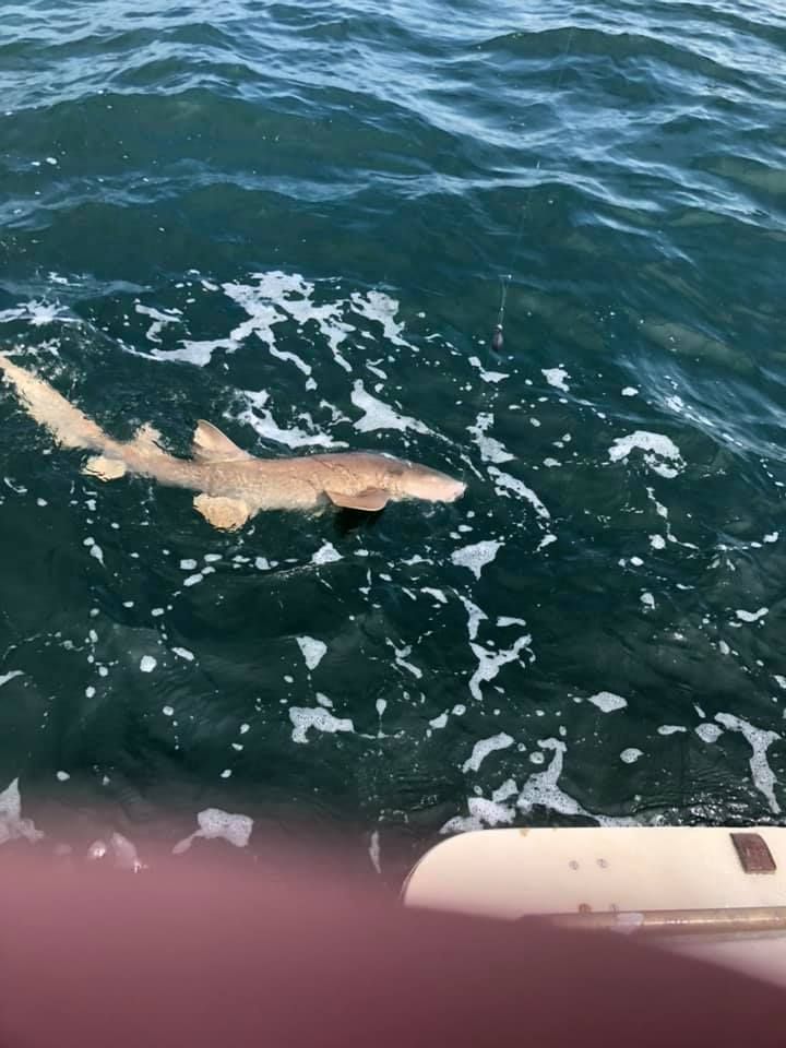 Fishing adventure at unknown location