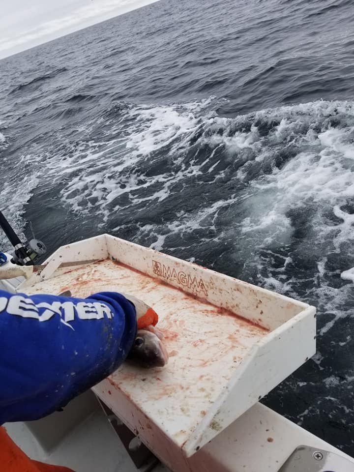 Fishing at a beautiful, scenic location