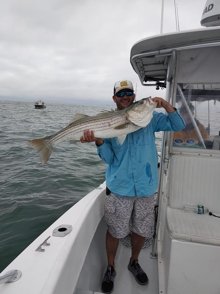 Striped bass caught while fishing