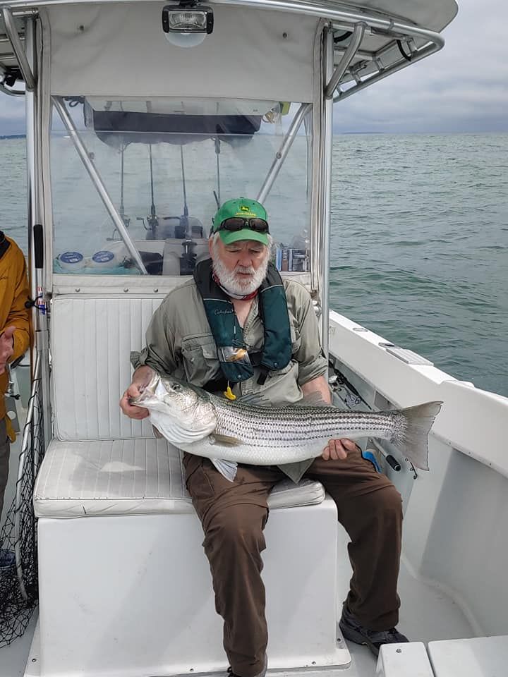 Striped bass caught by angler