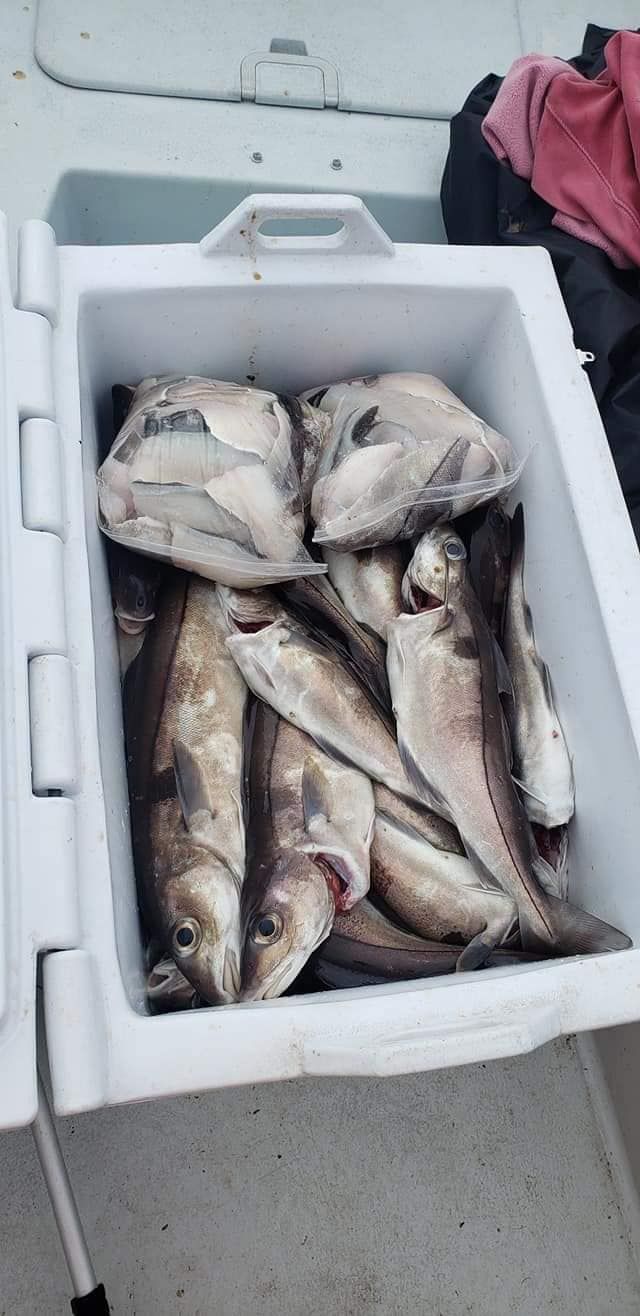 Fishing in an unknown location