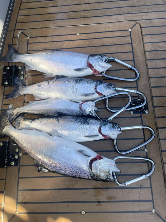 Hooked a trio of salmon species after a day of deep sea trolling at 5818 W Main St!