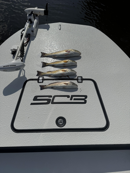 Redfish bonanza: Slaying it with light tackle as the skies clear!