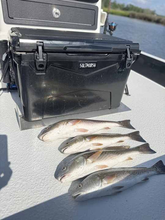 Double redfish delight on a clearing afternoon in Hubert!