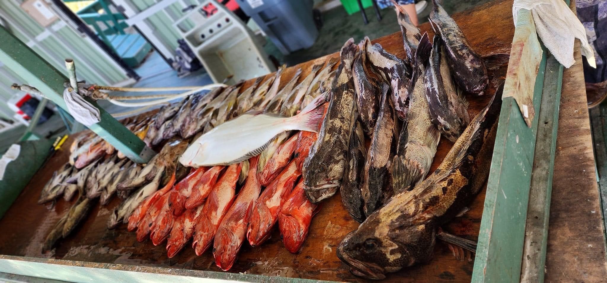 Fishing in unknown location