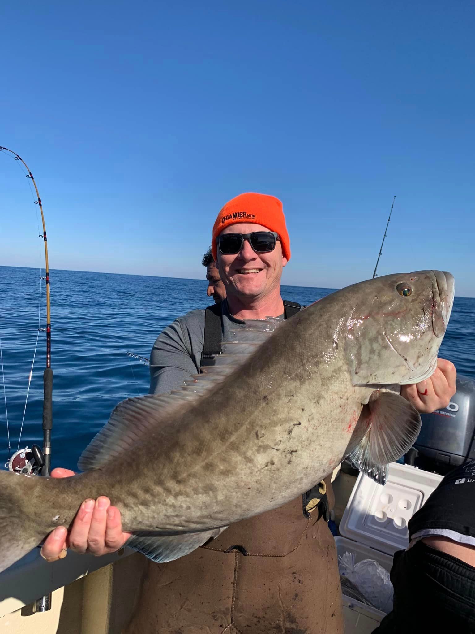 Gag Grouper, a large 31-inch fish, caught on a fishing trip