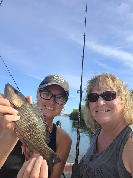 Photograph of a 14-inch grey snapper caught while fishing