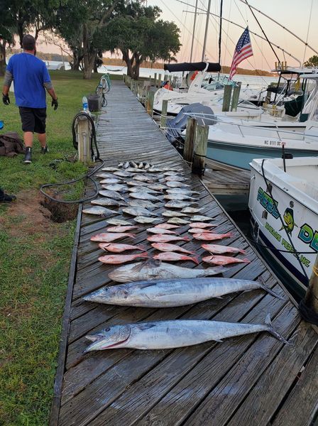 Two people fishing at an unknown location