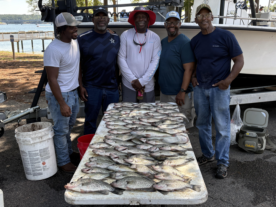 Clear skies and light tackle make for the best fishing day in Thomson!