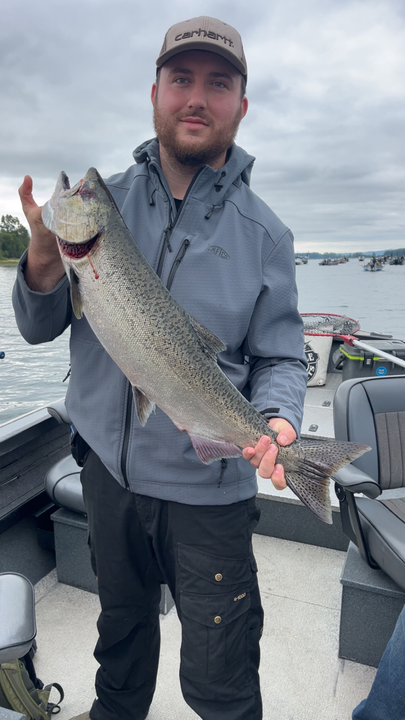 Nice coho salmon using jigging and trolling techniques in partly cloudy conditions!
