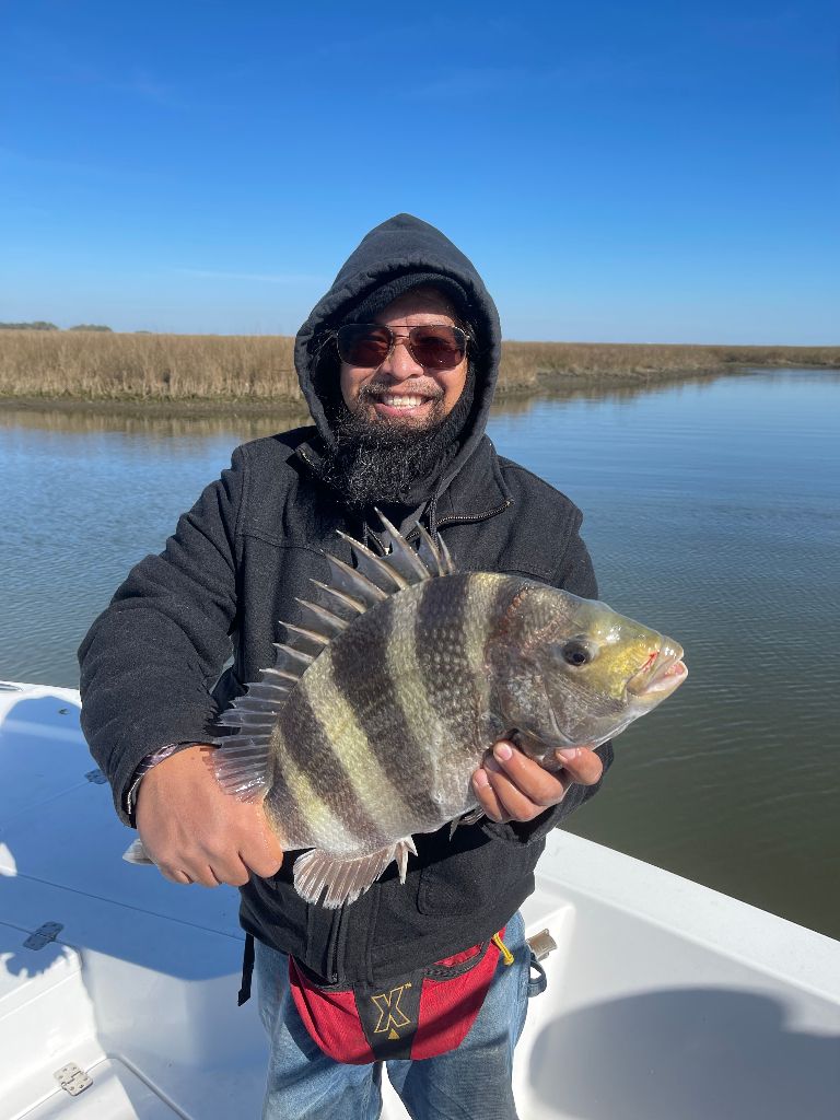 Sheepshead fish caught on fishing trip