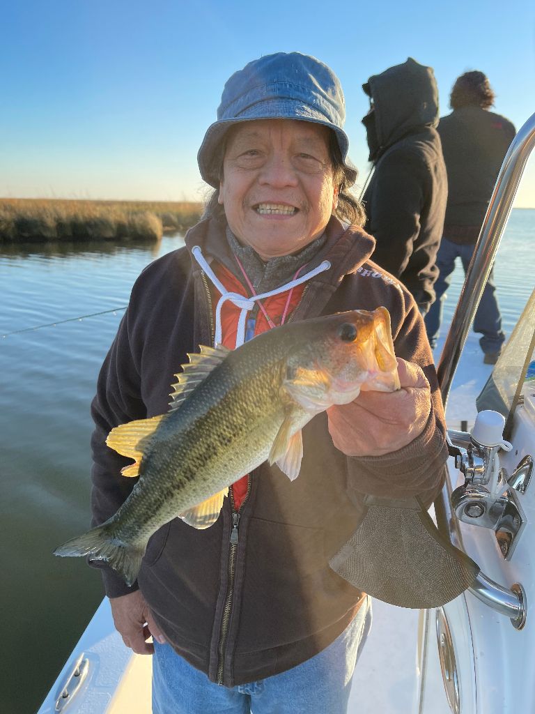 Lone angler fishing in unknown location
