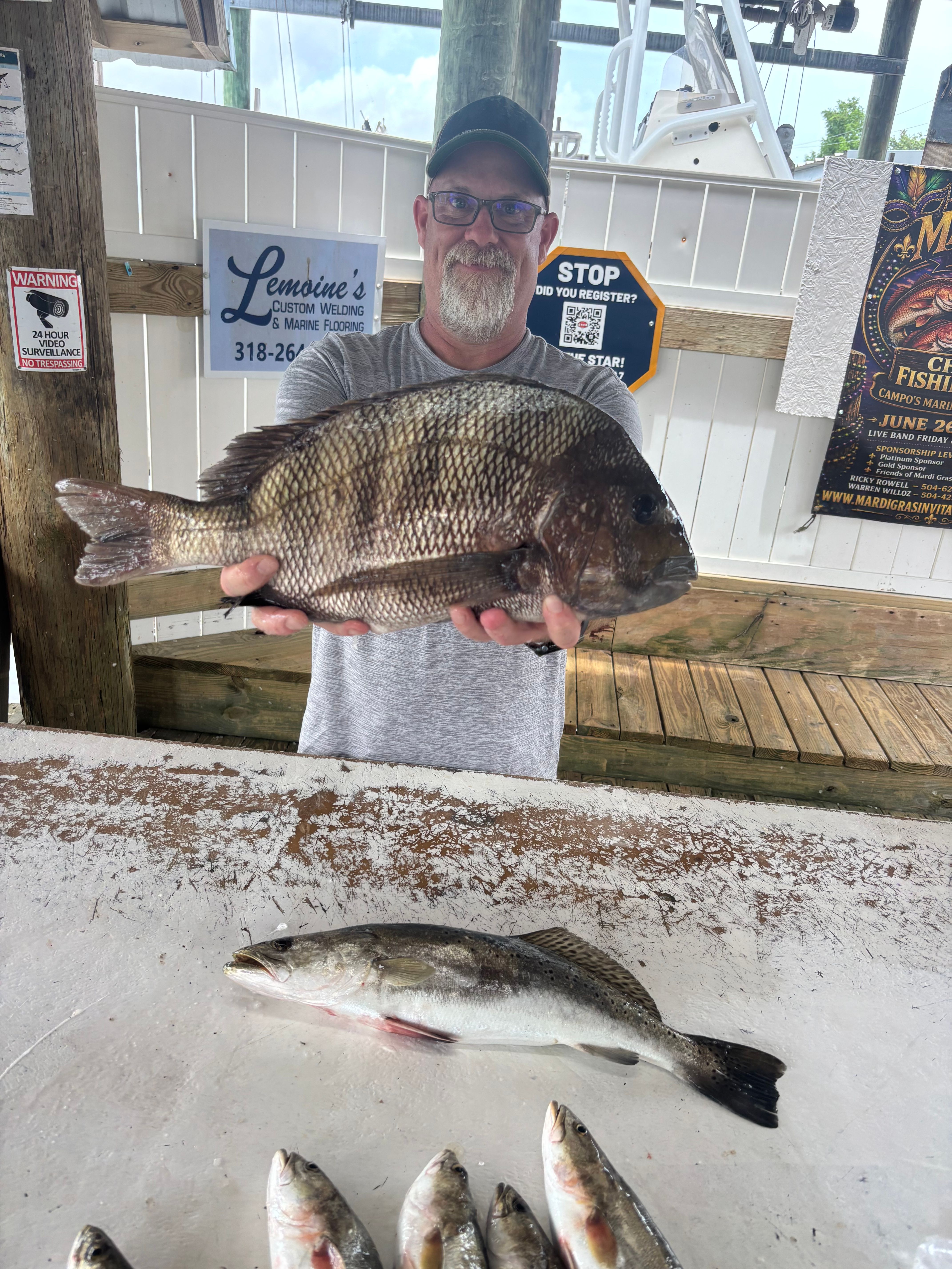 Fresh caught sheepshead and other fish displayed on fishing dock