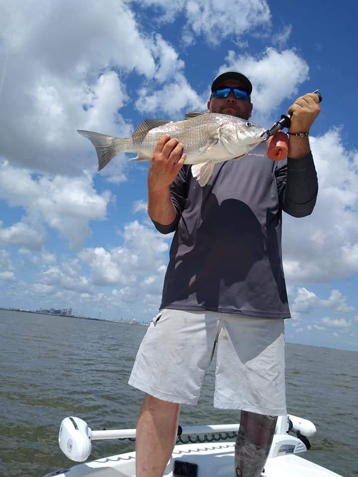 Photograph of a big black drum fish caught during fishing.