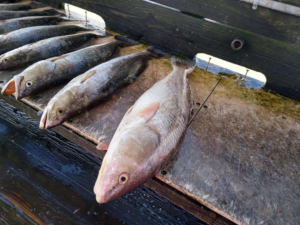 Two fishing rods cast into a body of water at an unknown location