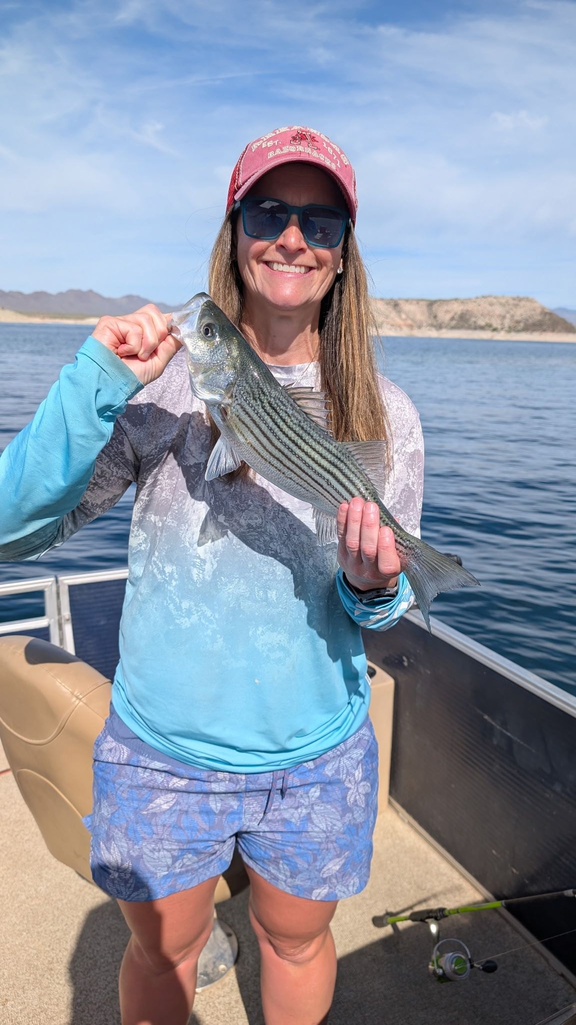Striped bass catch displayed on fishing boat deck on open water
