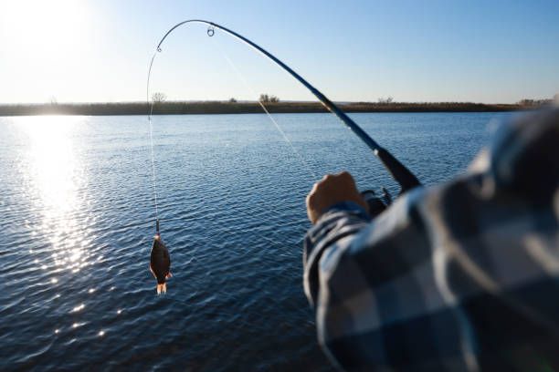 Fishing at an unknown location