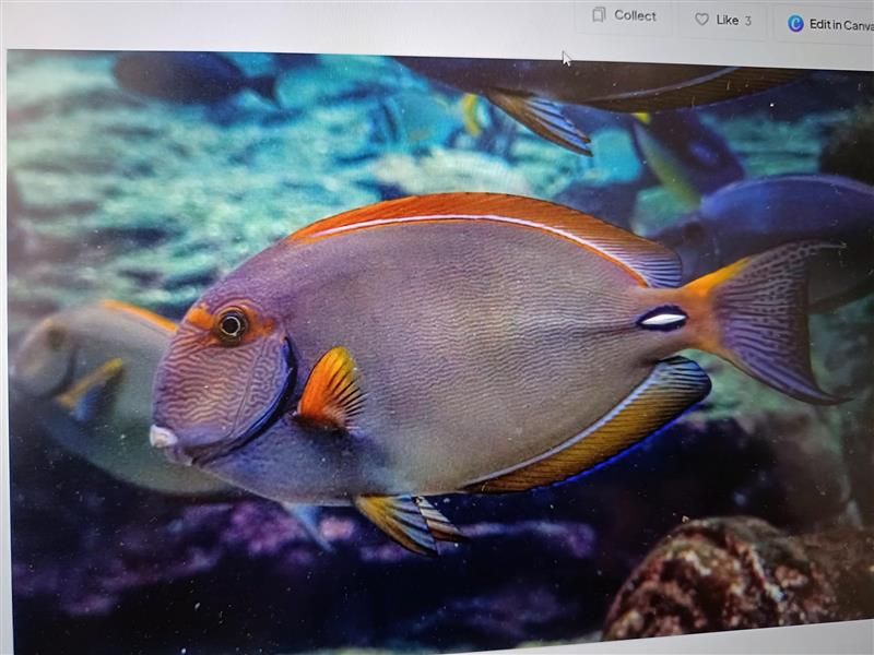 Fishing on the water at an unknown location