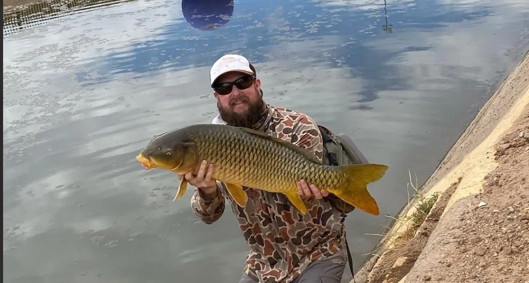 Grass carp caught while fishing