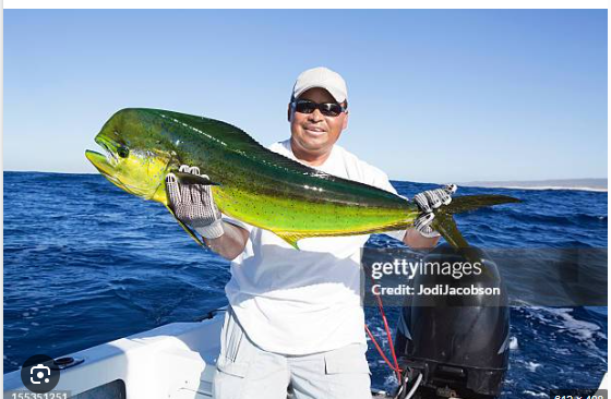 One person fishing at unknown location