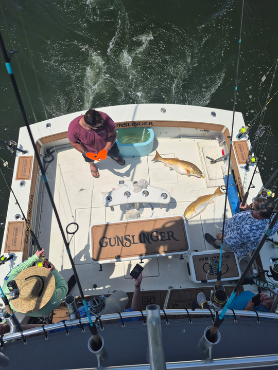 Offshore fishing haul with a catch of the day.