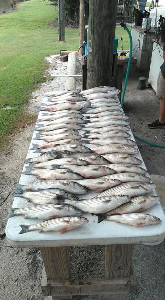 Two anglers fishing in unknown location