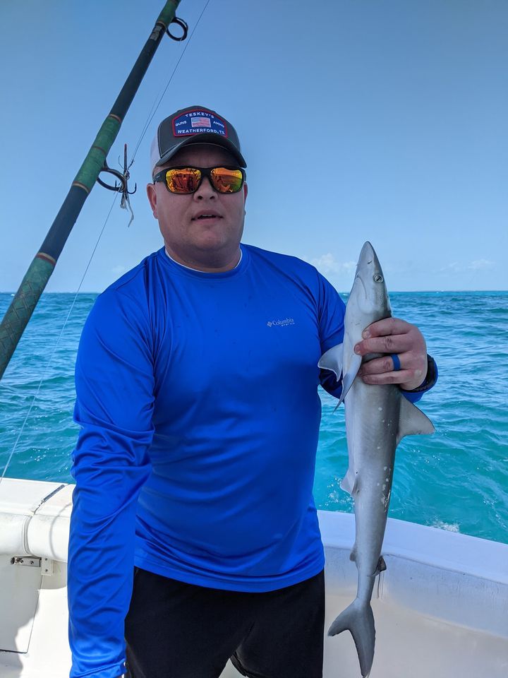 Catch of the day: Atlantic Sharpnose Shark