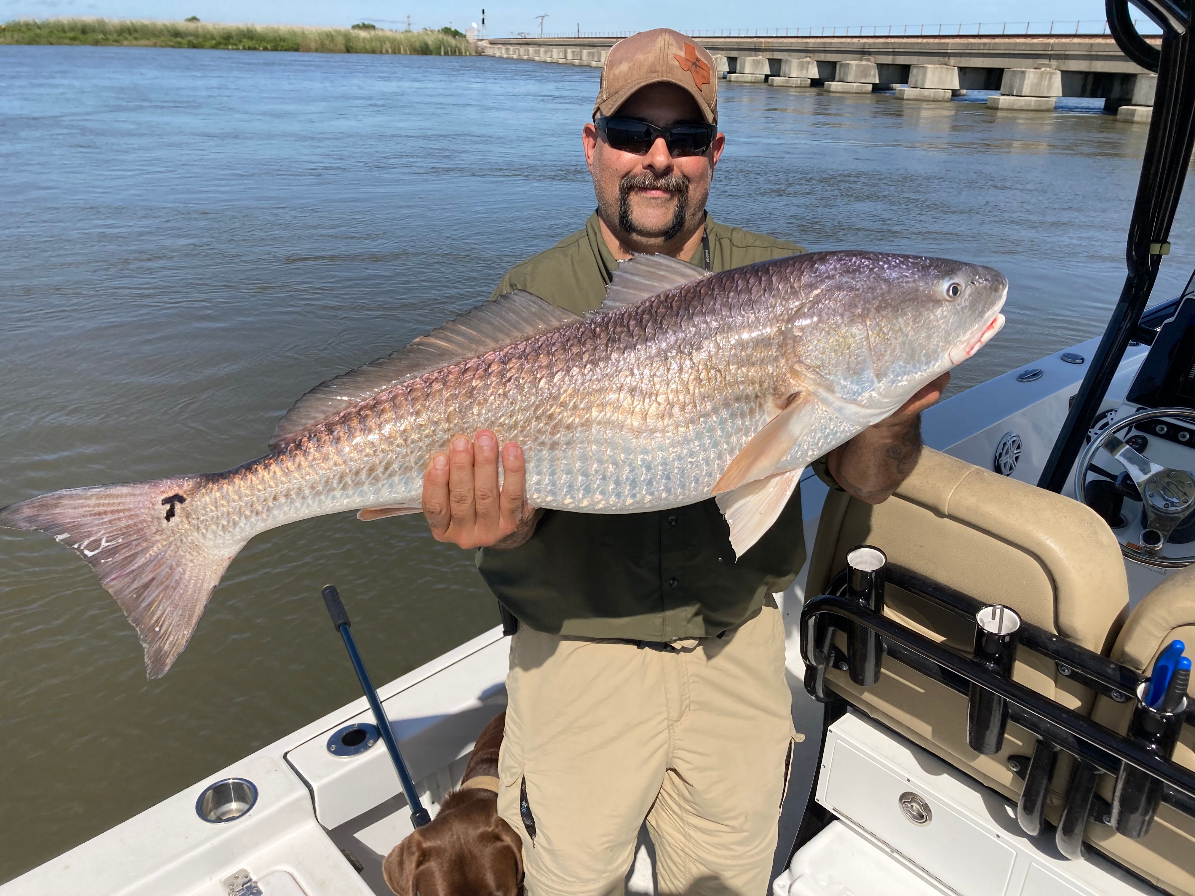 Redfish, 38 inches, fishing in unknown location