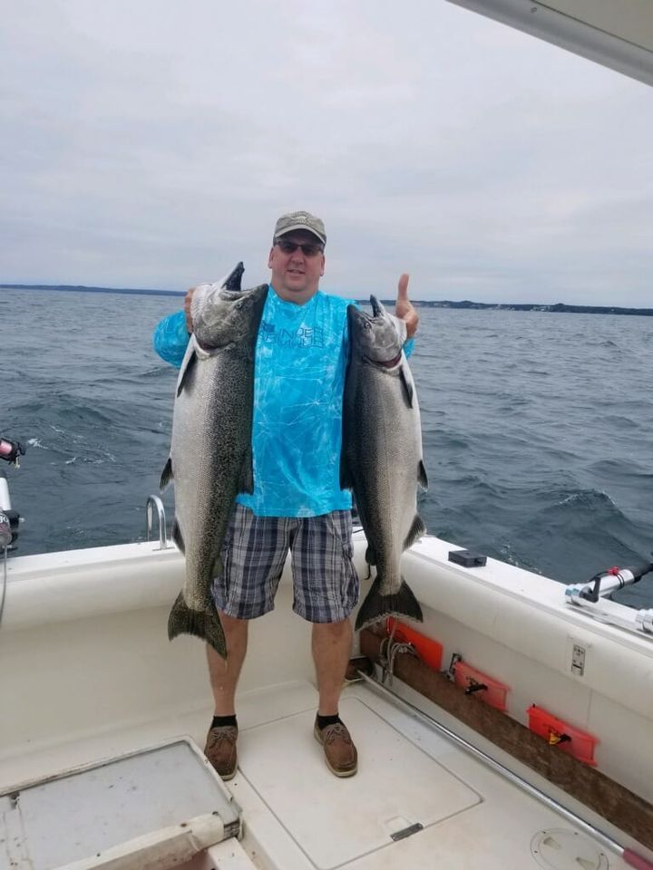 Two rainbow trout being caught by a person