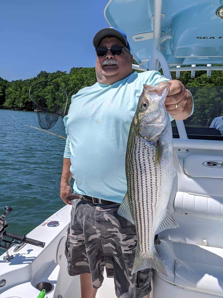 Striped bass caught while fishing