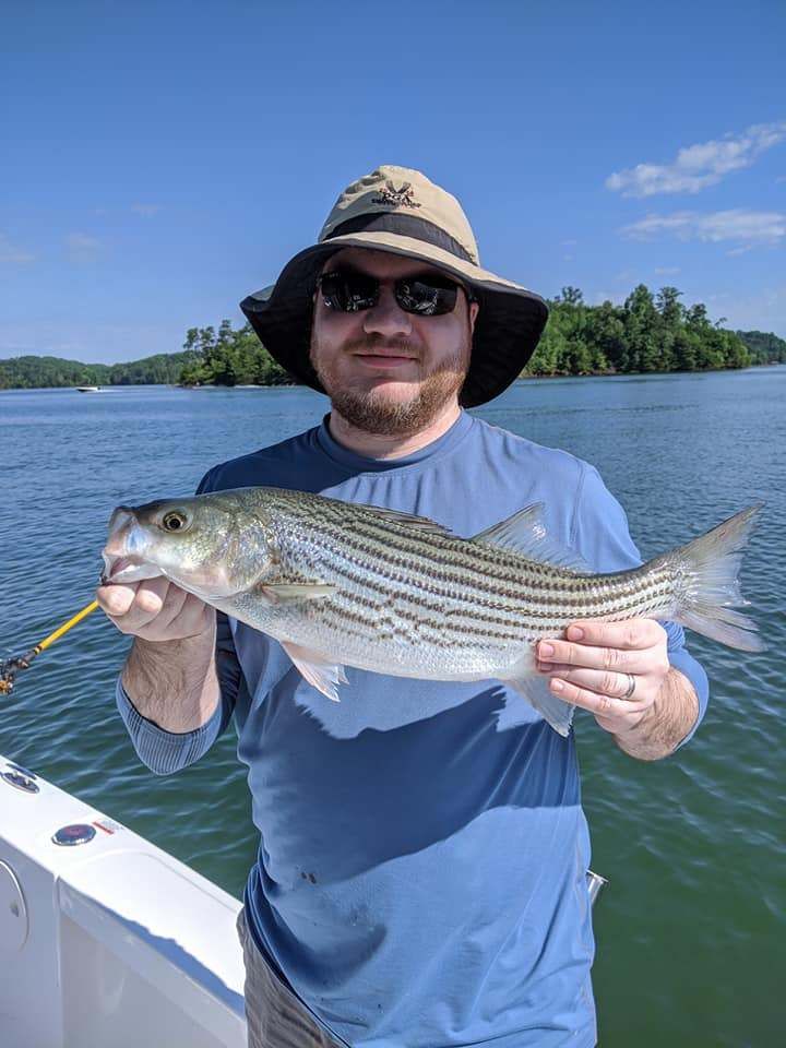 Striped bass caught while fishing