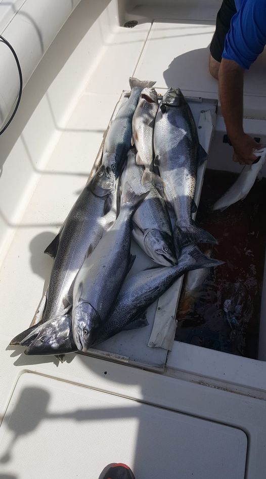 Fishing adventure at unknown location