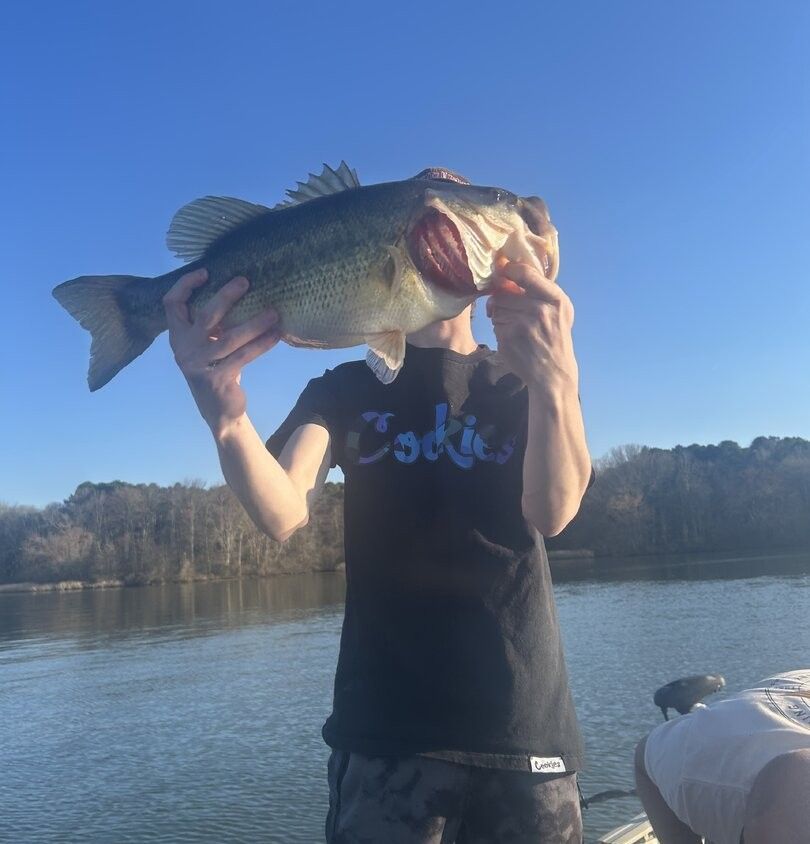 Large bass fish being held up after successful catch on lake