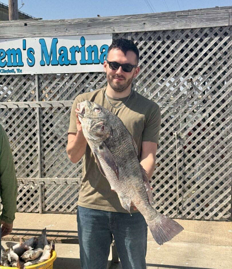 Black drum catch displayed at marina dock