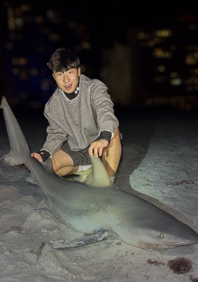 Bull shark caught while fishing